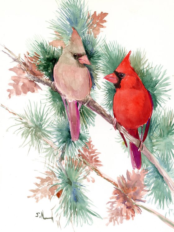 Cardinal Birds