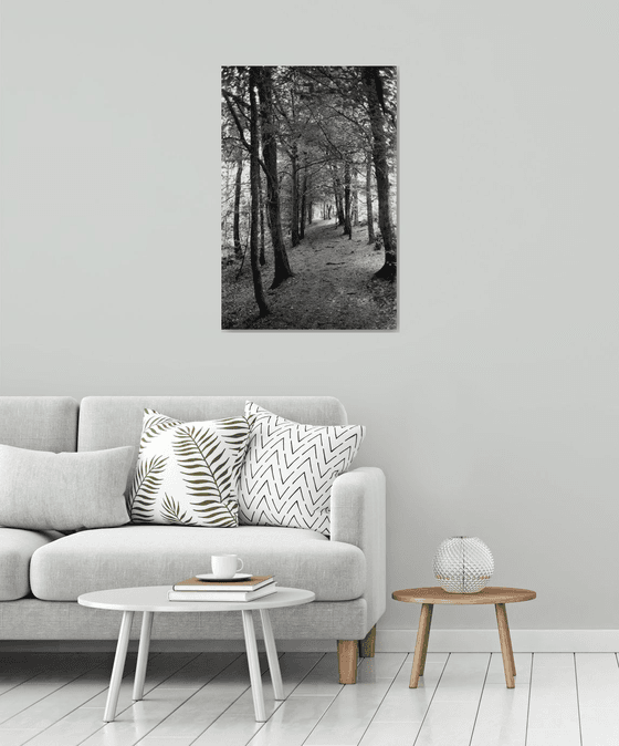 Northern Woods 10 - Unmounted (30x20in)