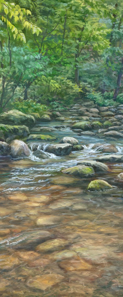 Blue Ridge Brook by Steph Moraca