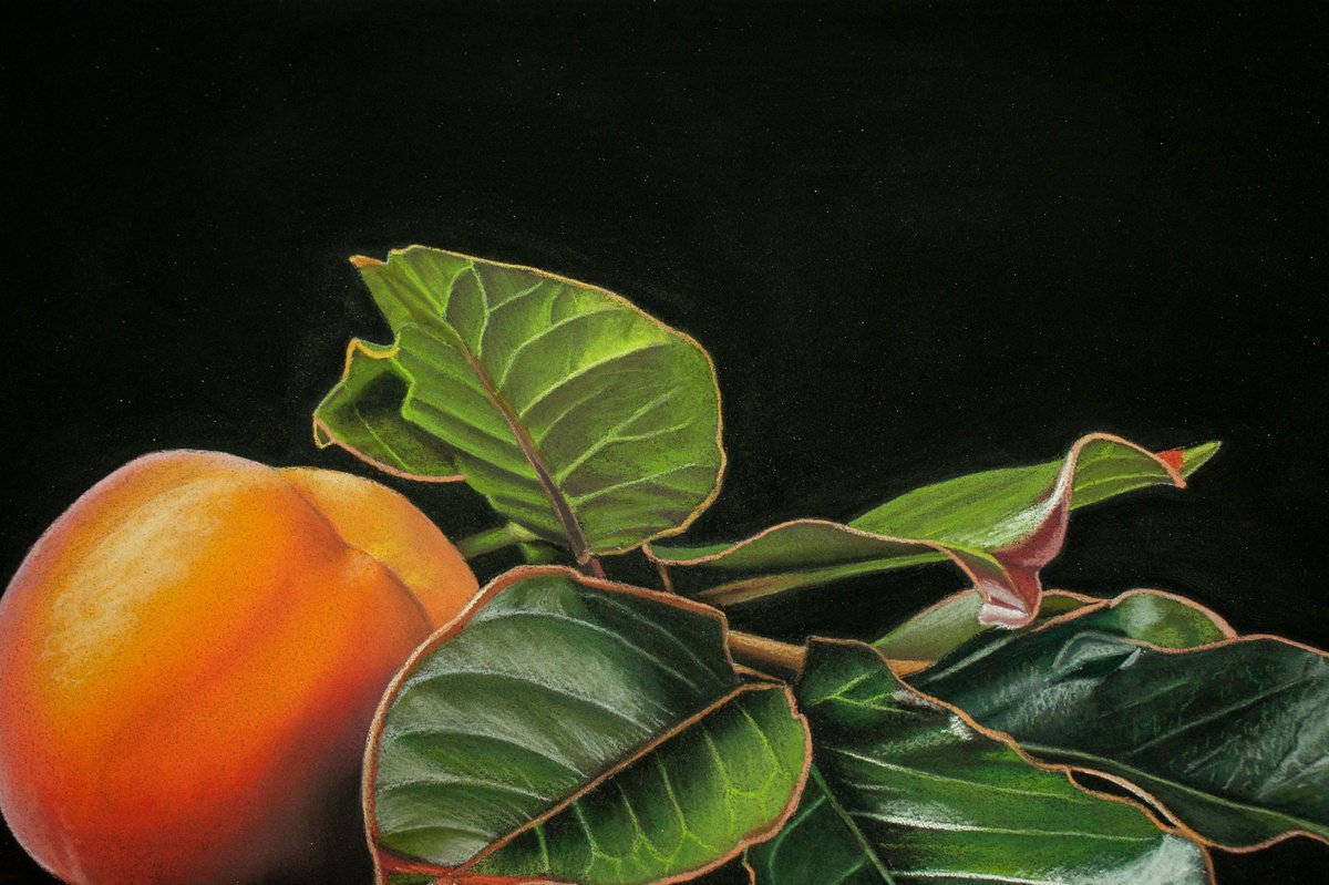Photorealistic Still Life Pastel Drawing By Dietrich Moravec, 16 X 12, Hidden Gem, Original Artwork