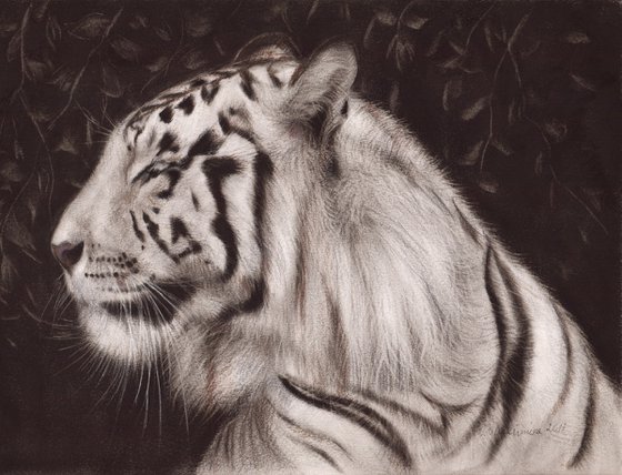 White Tiger