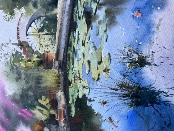 Pond with water lilies