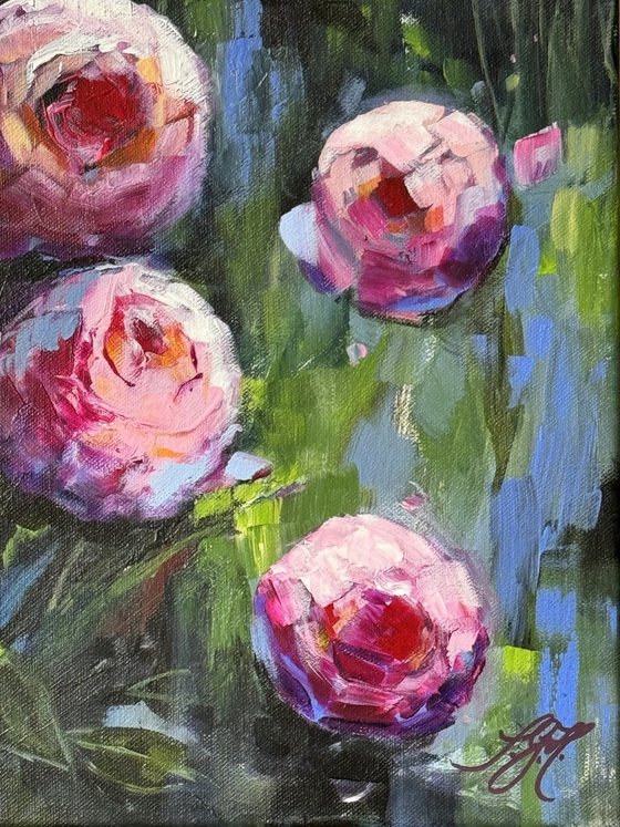 My Roses 3