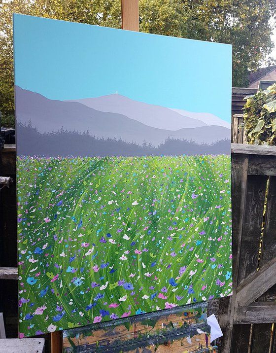 Meadow to Mont Ventoux, Provence, France