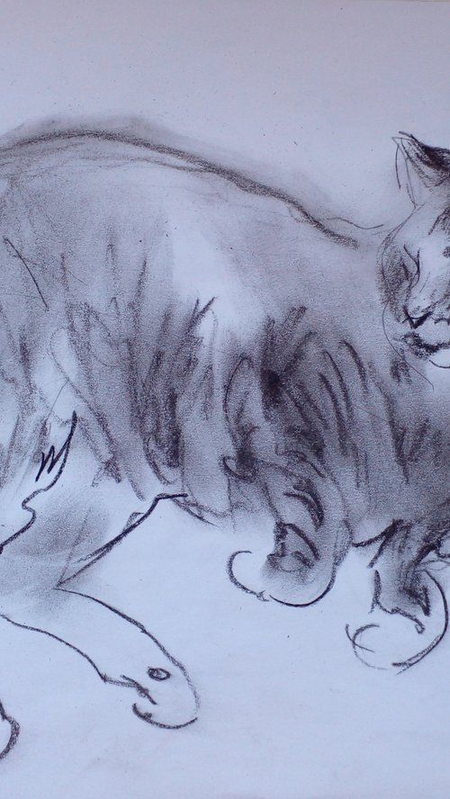 Happy Cat Sketch 2 by Oxana Raduga