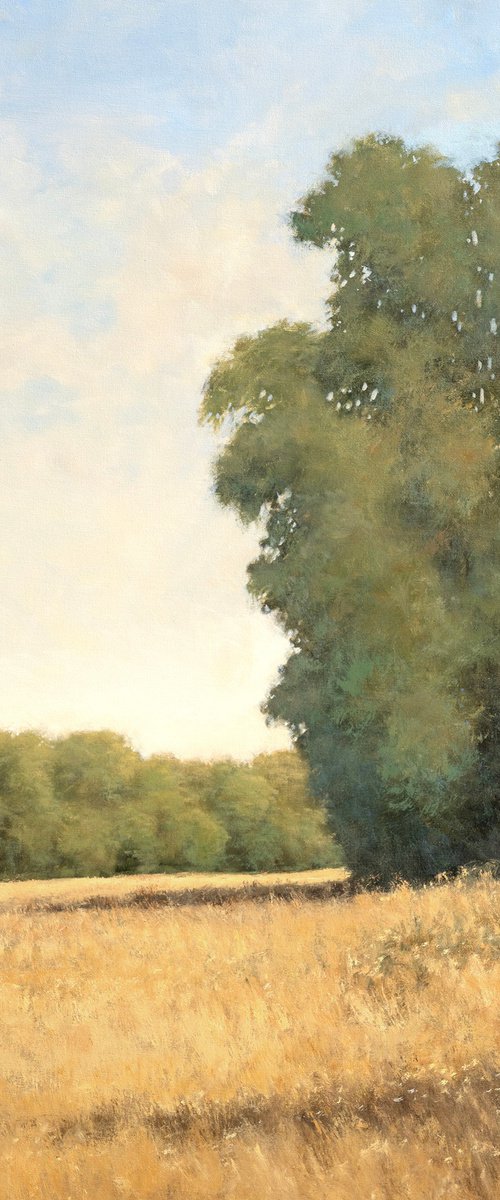 Summer Trees 250921 by Don Bishop