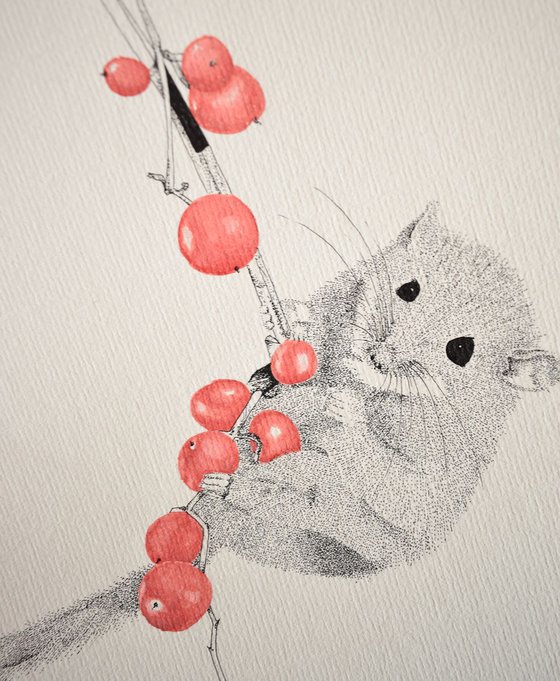 Dormouse handing from red berries