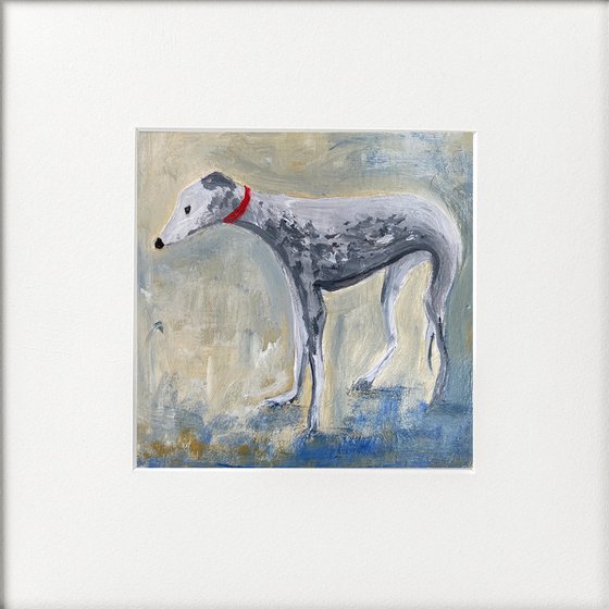 Grey Greyhound