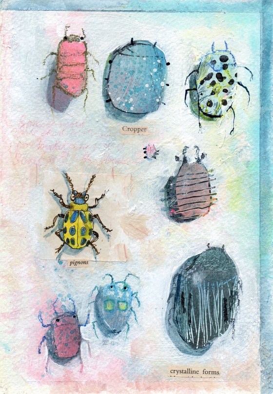 Bug Collection #06