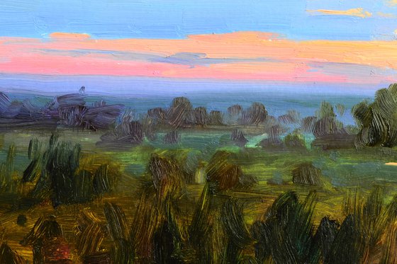 Evening over the meadow