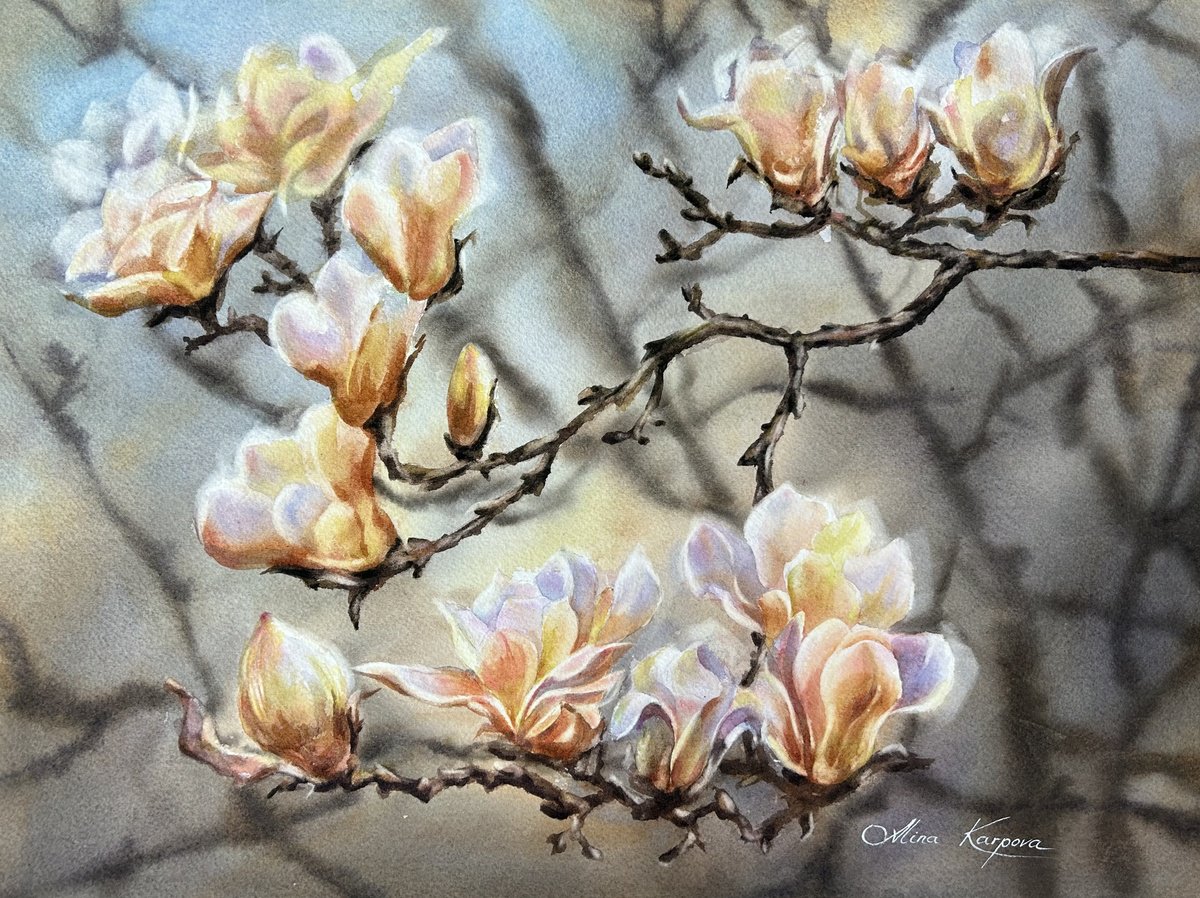 Photorealistic Botanical Watercolour By Alina Karpova, 16 X 12, Branch Of Magnolia, Original Artwork