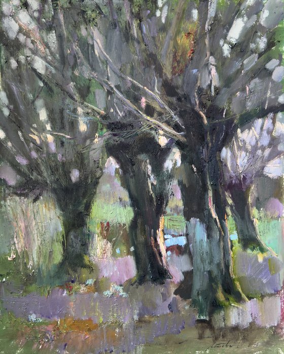 In the shade of old trees