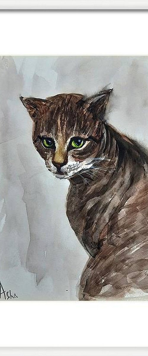 The Tortoiseshell Tabby Cat by Asha Shenoy