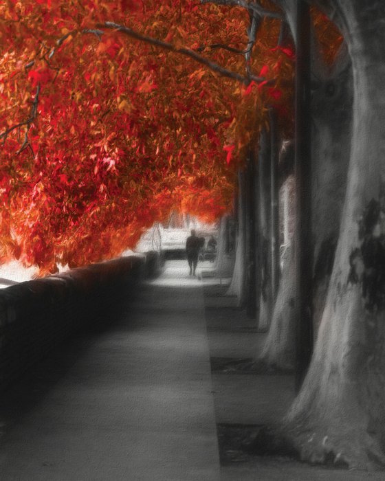 Autumn Promenade - Small Ed.