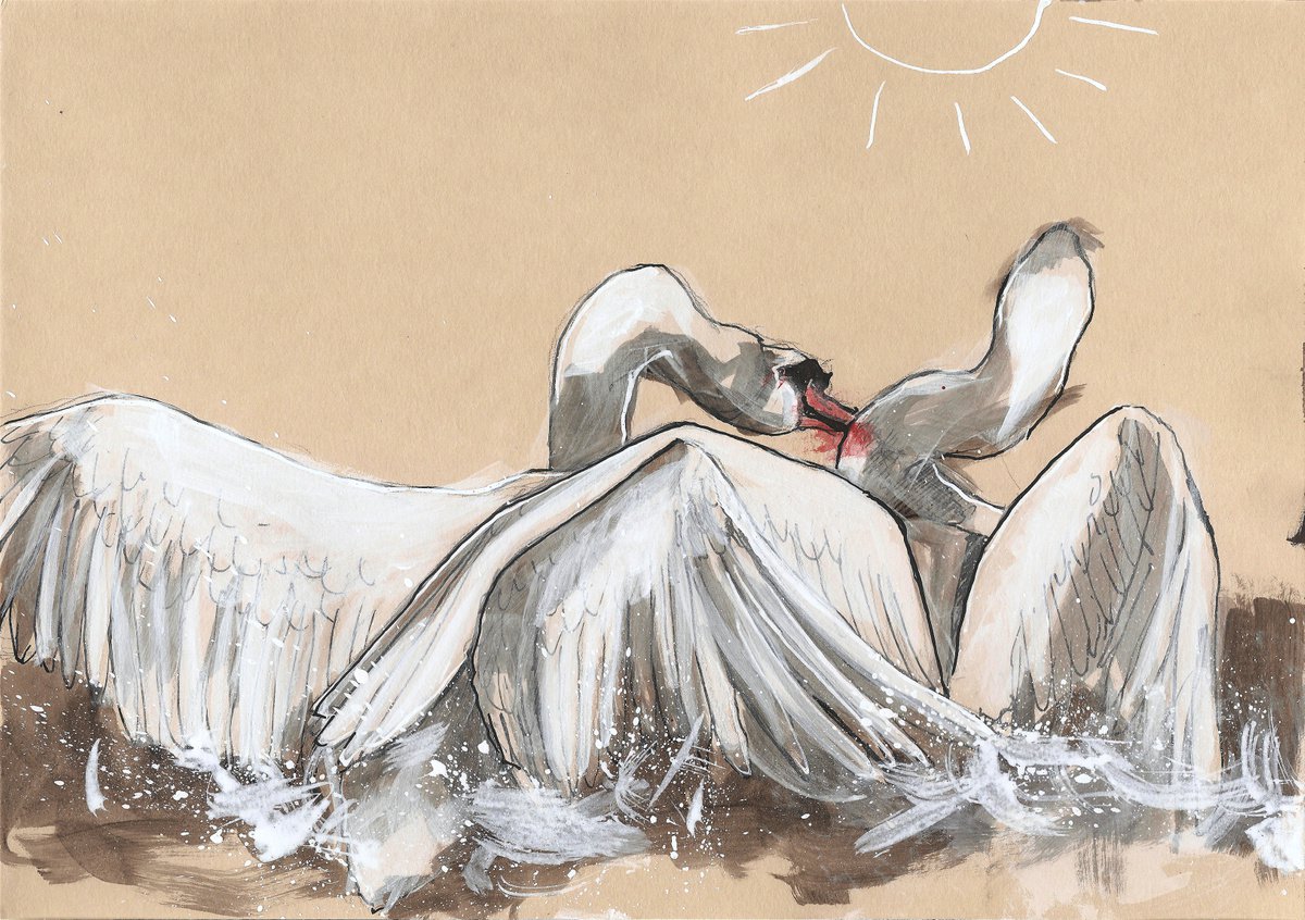 Swan fight by Zuzana Raichlova