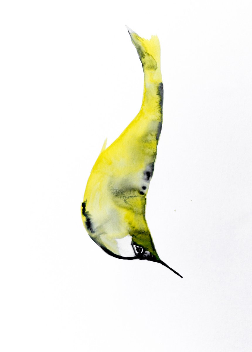 Bird by Nadia Moniatis