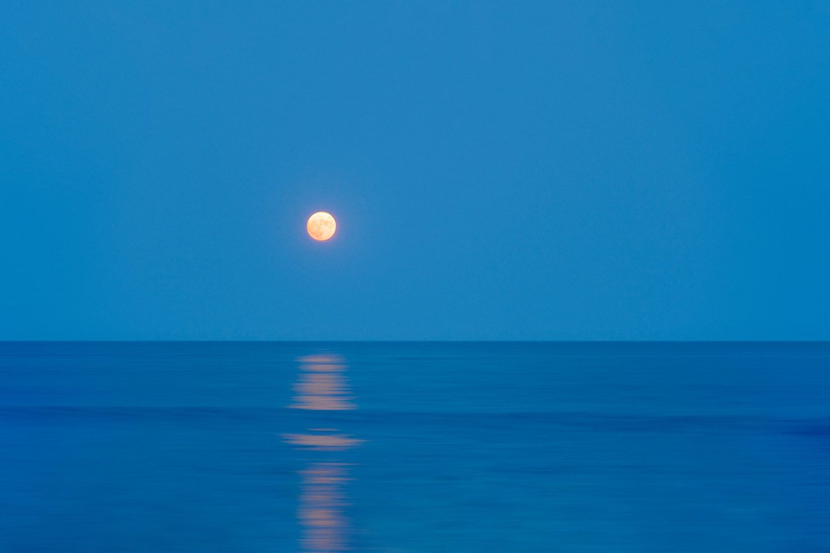 Surrealistic Landscape Photograph By Journey Gong, 24 X 16", Once, Original Artwork