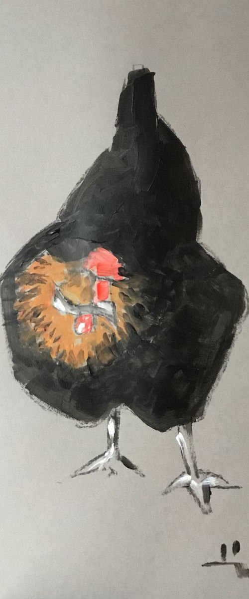 Chicken Study 1 by Dominique Dève