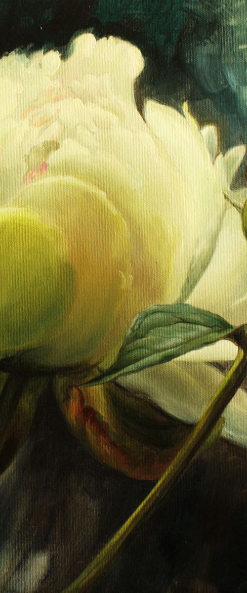 White peony by Julia Diven