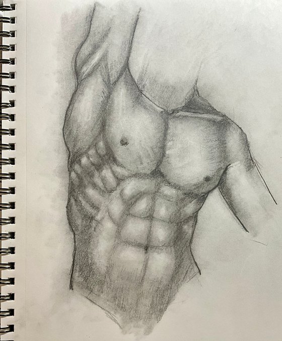 Male Torso Study