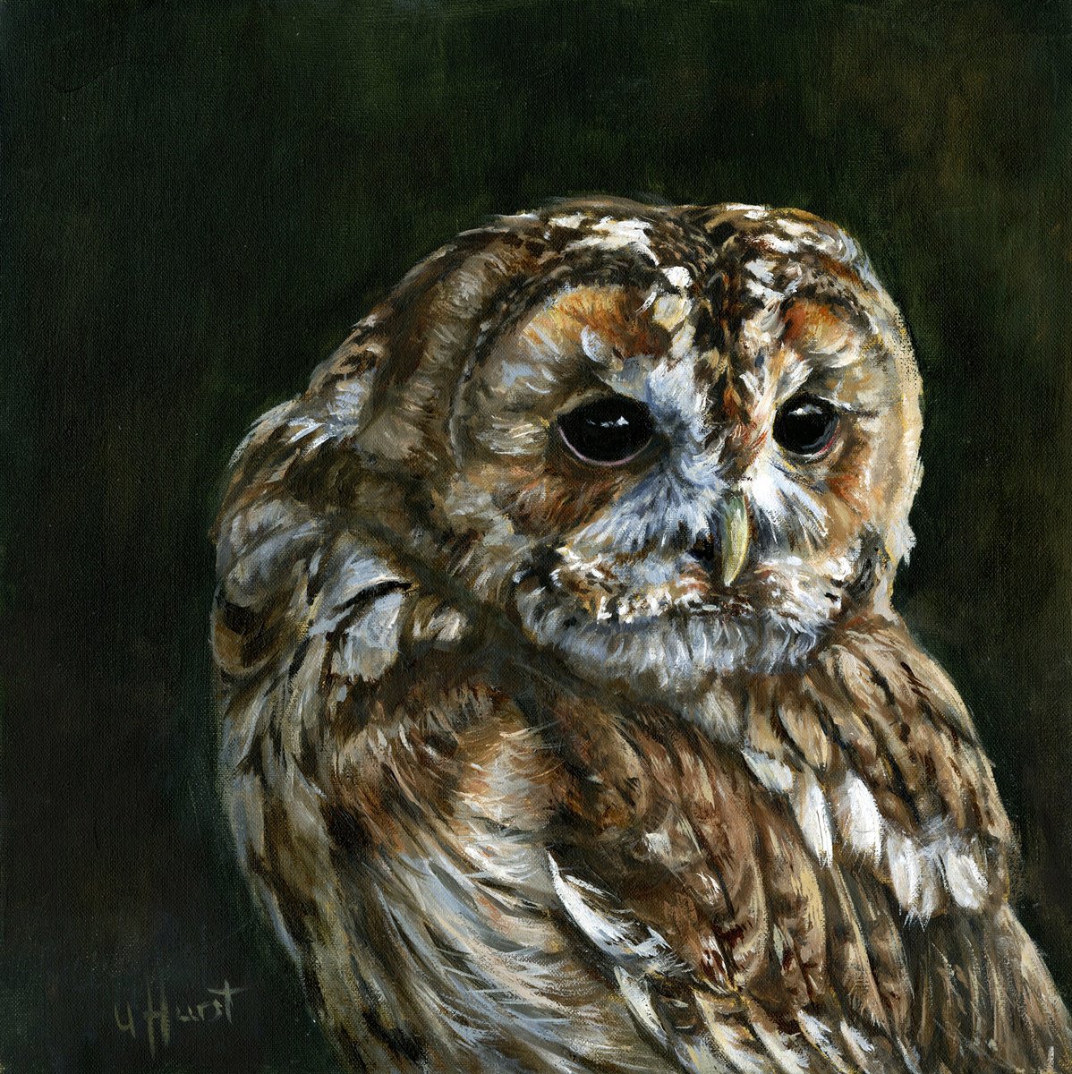 Tawny Owl oil painting by Una Hurst