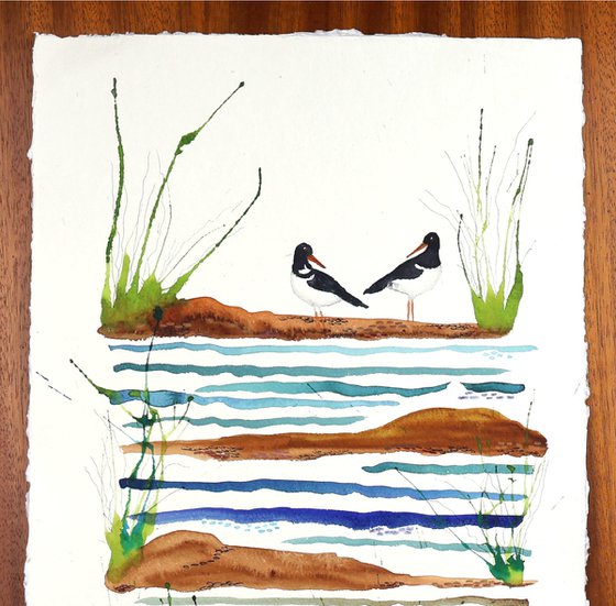 Wetlands