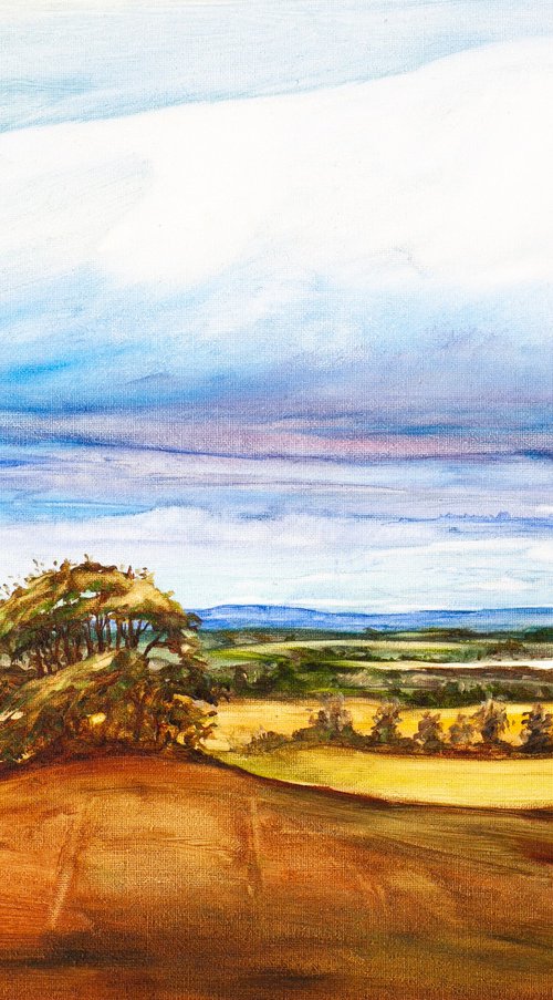 Scottish Countryside View by Liudmila Pisliakova