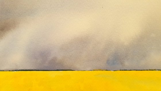 Fields of Gold