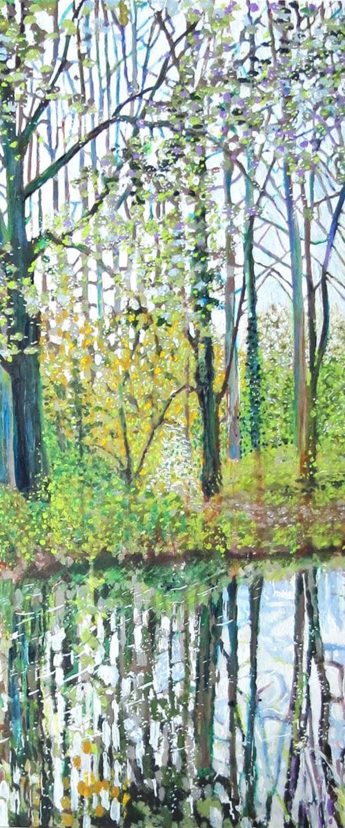 Trees by canal by Roz Edwards