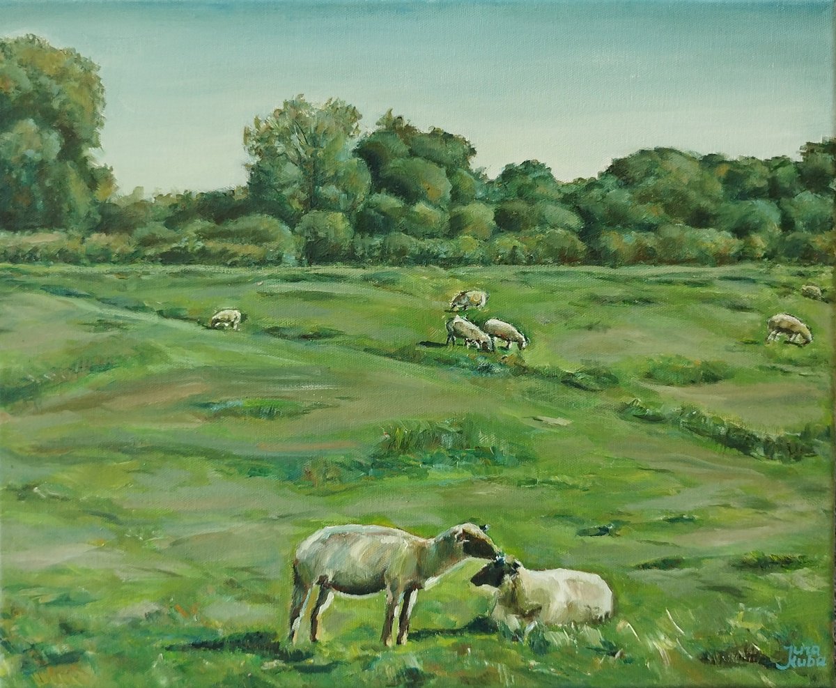 Sheep Landscape by Jura Kuba Art