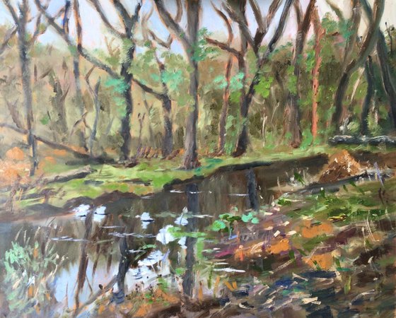 Stream in the forest