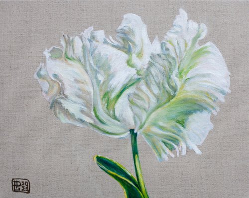 White Tulip by Liudmila Pisliakova