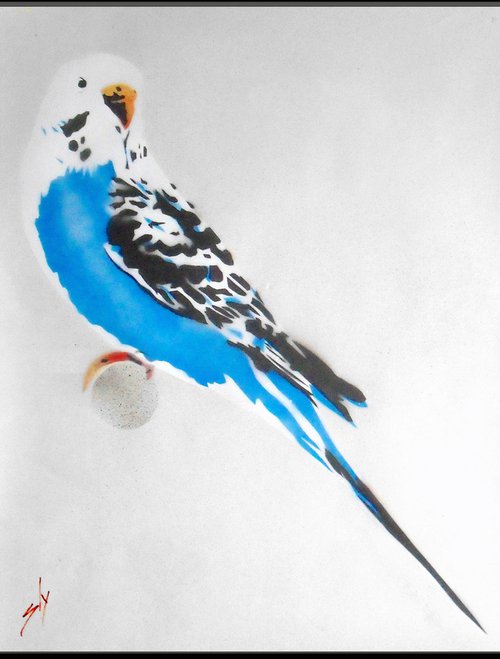 Grandma's budgie (on The Daily Telegraph) + free poem. by Juan Sly