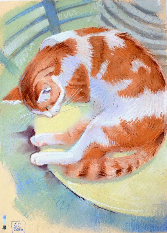 a sleeping ginger cat in a cafe