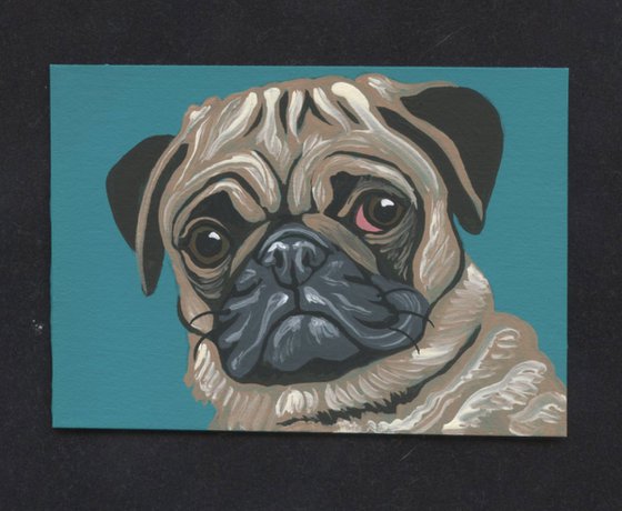 ACEO ATC Original Miniature Painting Fawn Pug Pet Dog Art-Carla Smale