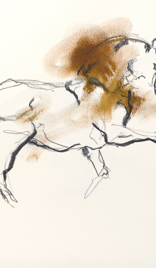 Etude 463 by Benedicte Gele