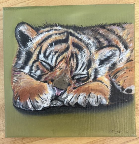 Tiger cub
