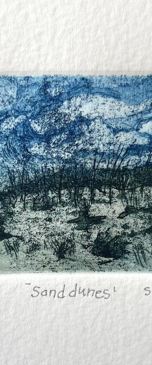 Sand dunes. by Stephen Brook