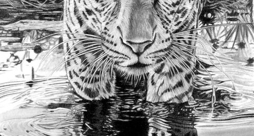 Artwork by Paul Stowe