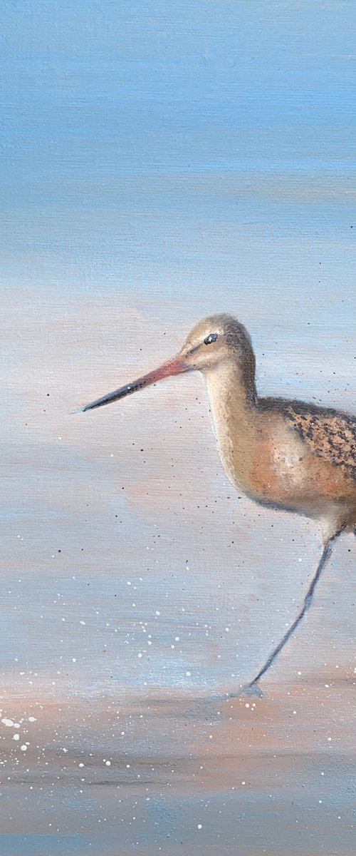 Sandpiper by Laure Bury