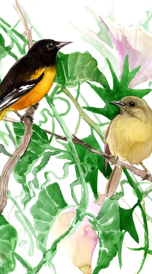Baltimore Oriole BIrds in the Wild, Male and female birds and flowers artwork by Suren Nersisyan