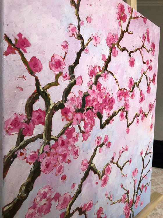 Cherry blossom