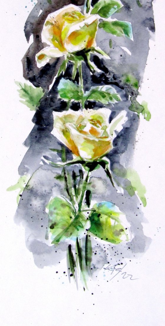 Yellow roses