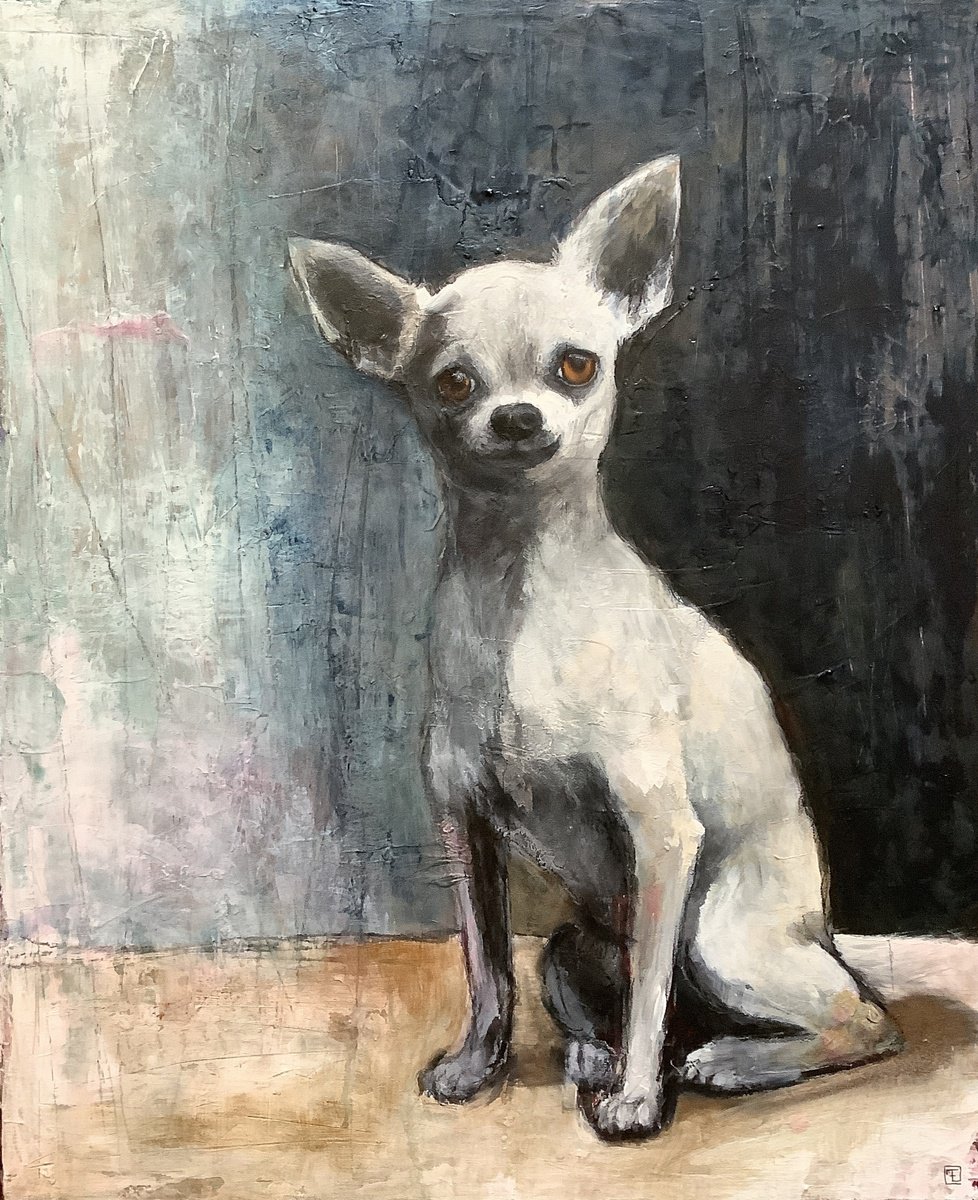 CHIHUAHUA by Eva Fialka