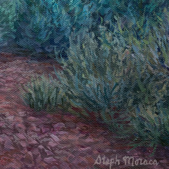 Morning Light in Sedona