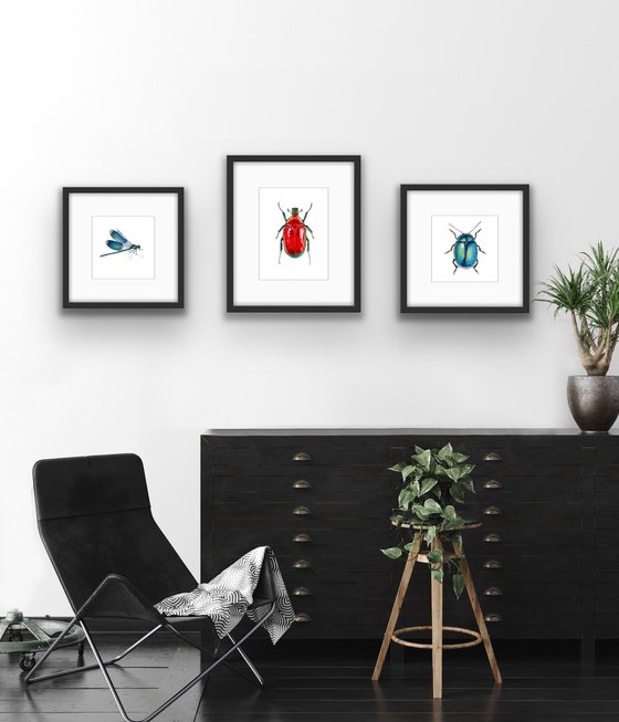 Red beetle.