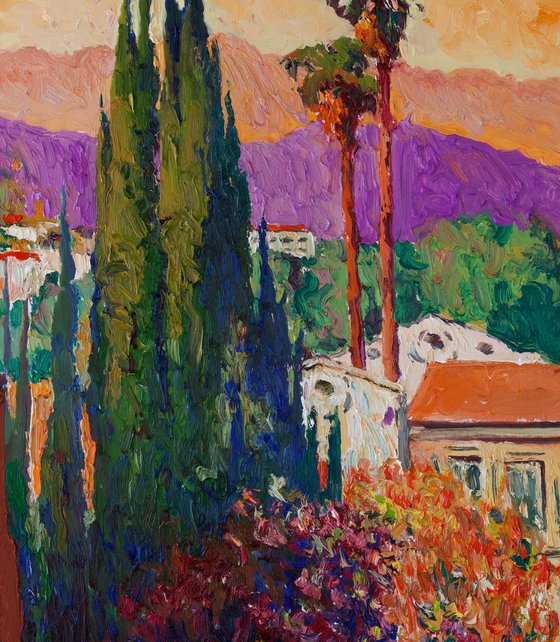 Evening and Cypresses
