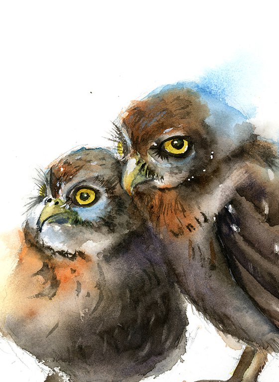 Pair of Owls - watercolor painting