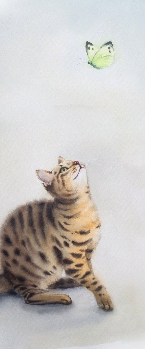 Tabby Kitten Hunts for a Butterfly by Olga Beliaeva Watercolour