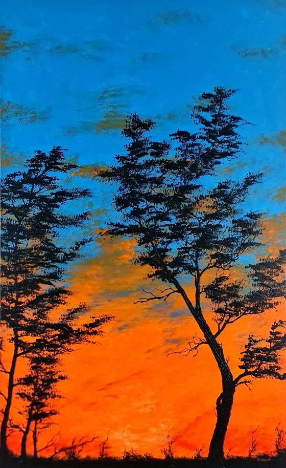 Orange sunset 3